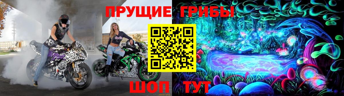 Псилоцибиновые грибы Psilocybine cubensis Владимир